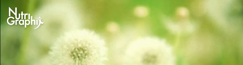 background image of dandelions and grass